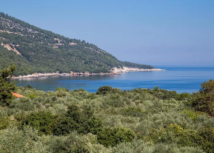 Sarimpalas Pensión Koinira